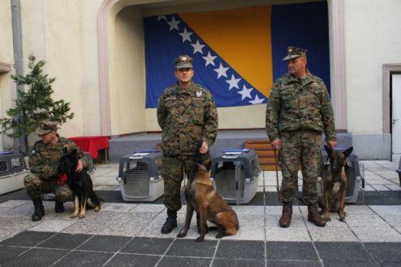 Handover of seven mine detection dog teams to the Armed Forces of BiH