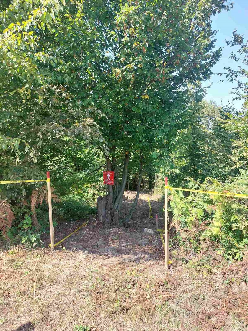 10 million sqm of land in BiH cleared of mines with EU support