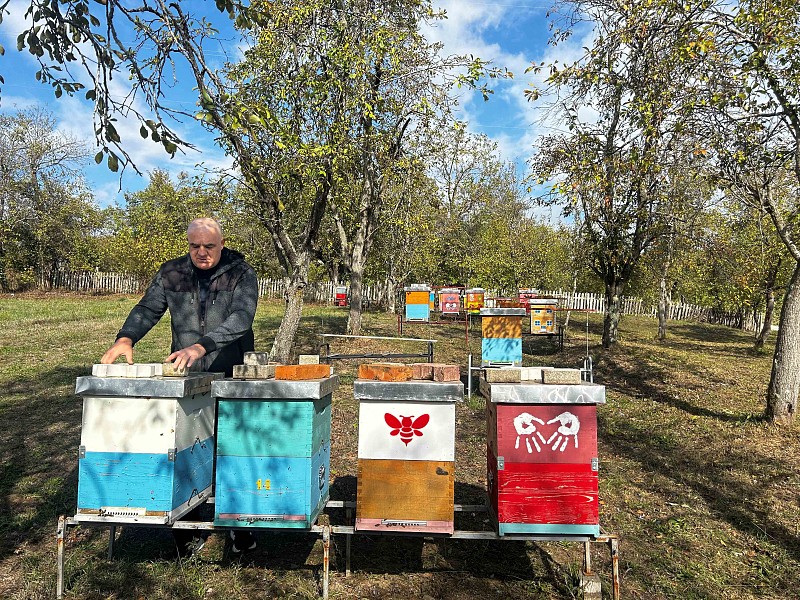 Five Mine Survivors in Bosnia and Herzegovina Become Certified Beekeeping Instructors 