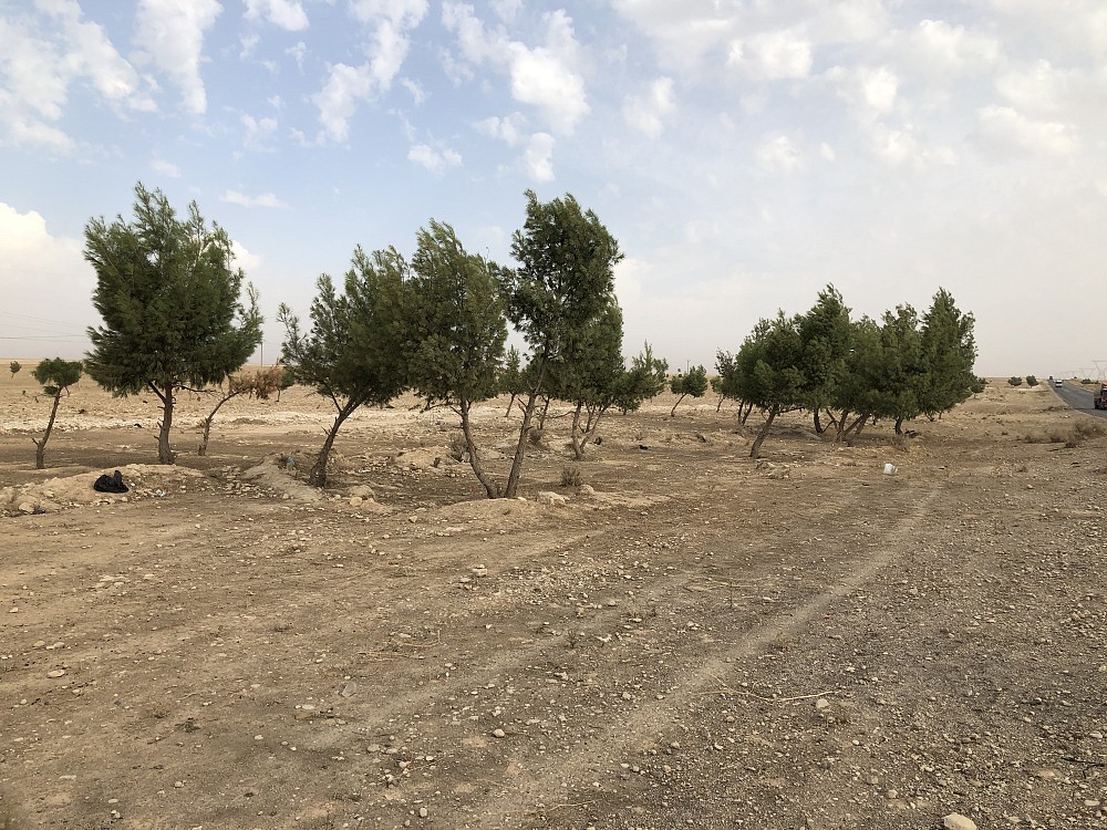 Since the start of the conflict, arable land has been left to despair and most of the trees in the area have been cut down