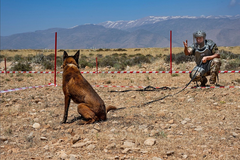 United States of America support mine detection dog teams working under the Lebanon mine action program (photo: Arne Hodalič).