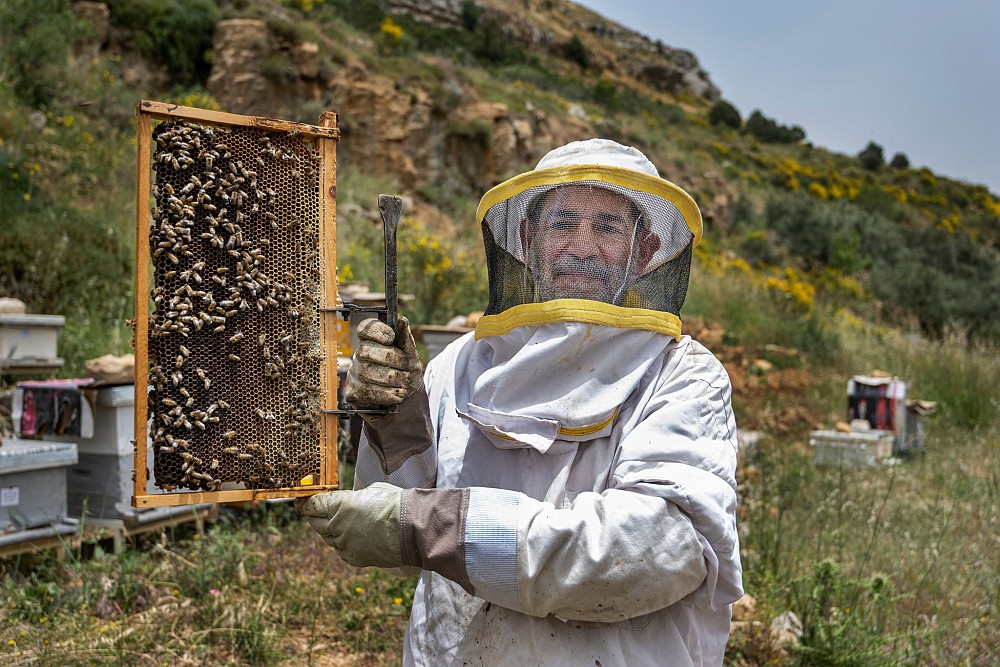 A beekeeping training for mine victims was organised with the support of Republic of Korea (photo: Arne Hodalič).