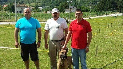 Mine detection dogs trained and handed over to Lebanon Mine Action Centre