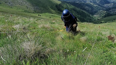 Fifteen Years of Cluster Munitions Clearance in the Kopaonik National Park 