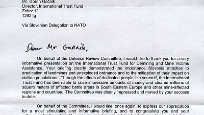 NATO Defense Review Committee visits ITF