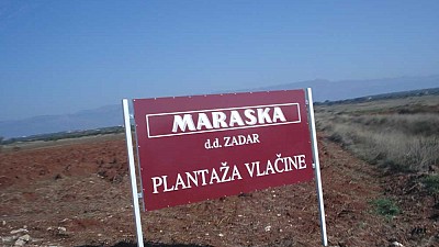 MARASKA – SUCCESSFUL STORY IN CLOSE COOPERATION BETWEEN PRIVATE AND PUBLIC SECTOR