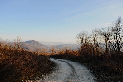 Landscape in the proximity of the worksite