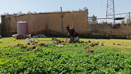 Good News Story From: Northeast Syria - When Courage and Communication Combine 