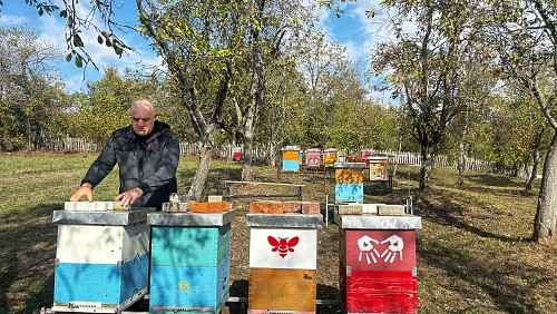 Five Mine Survivors in Bosnia and Herzegovina Become Certified Beekeeping Instructors 