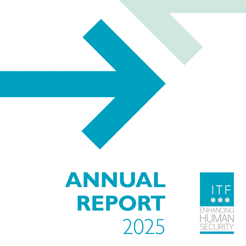 Annual Report 2025