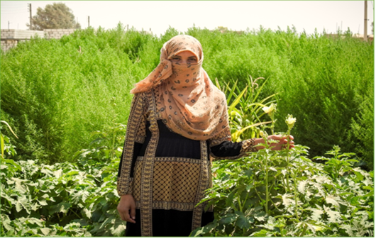 Yasmeen, home gardening beneficiary